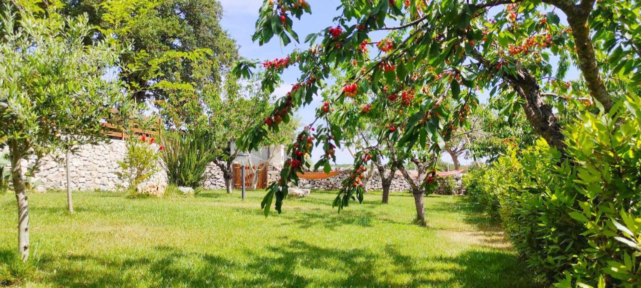 Red Rose B&B Martina Franca Eksteriør bilde