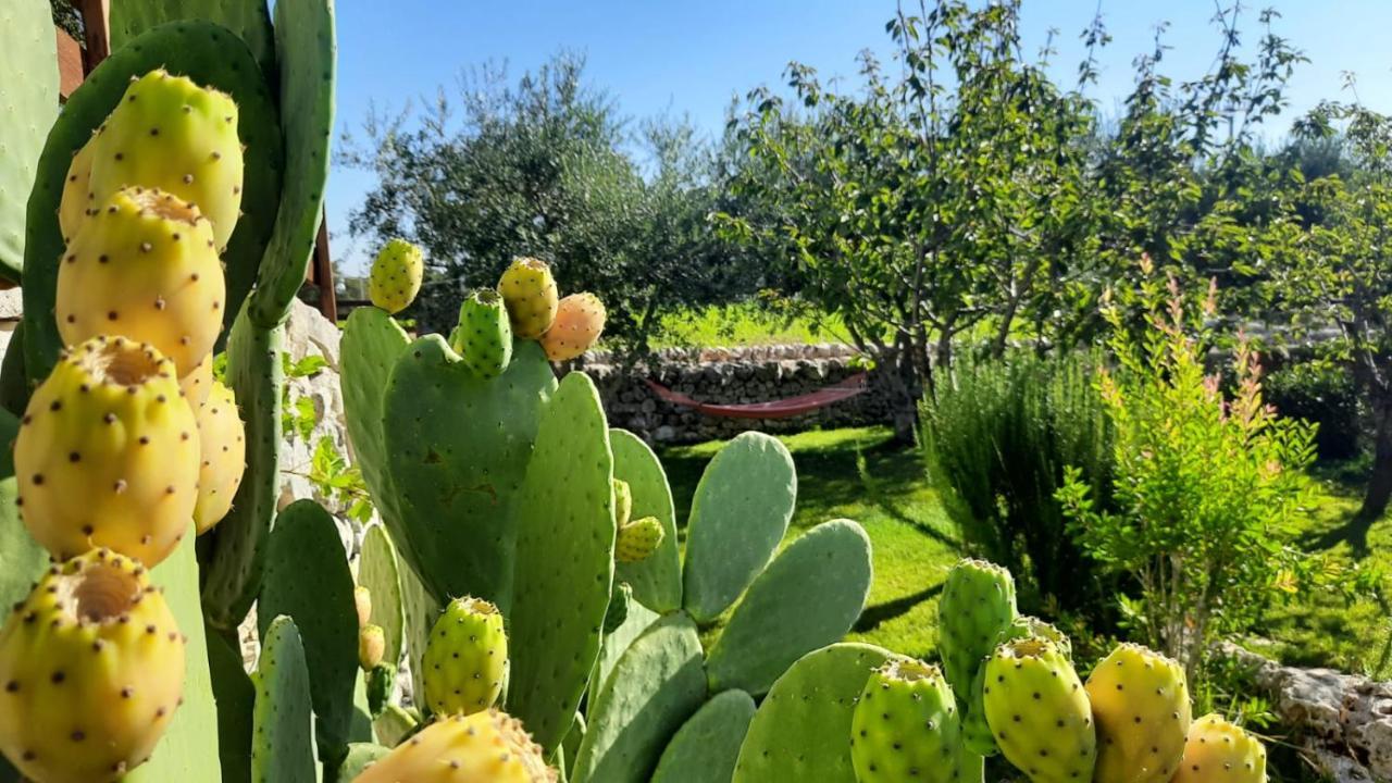 Red Rose B&B Martina Franca Eksteriør bilde