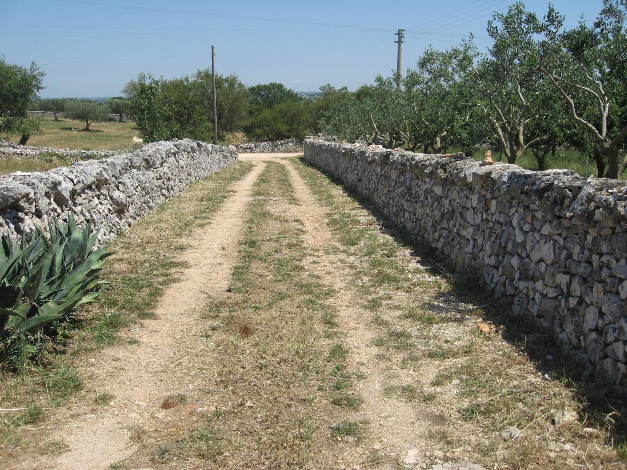 Red Rose B&B Martina Franca Eksteriør bilde